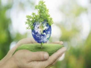 Экологическая игра «Я – гражданин планеты»