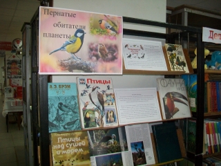 Выставка «Пернатые обитатели земли» в Дебесской районной библиотеке