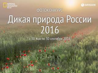 Фотоконкурс «Дикая природа России 2016»