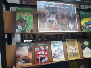 Книжная выставка «Ваше подворье» в Дебесской библиотеке