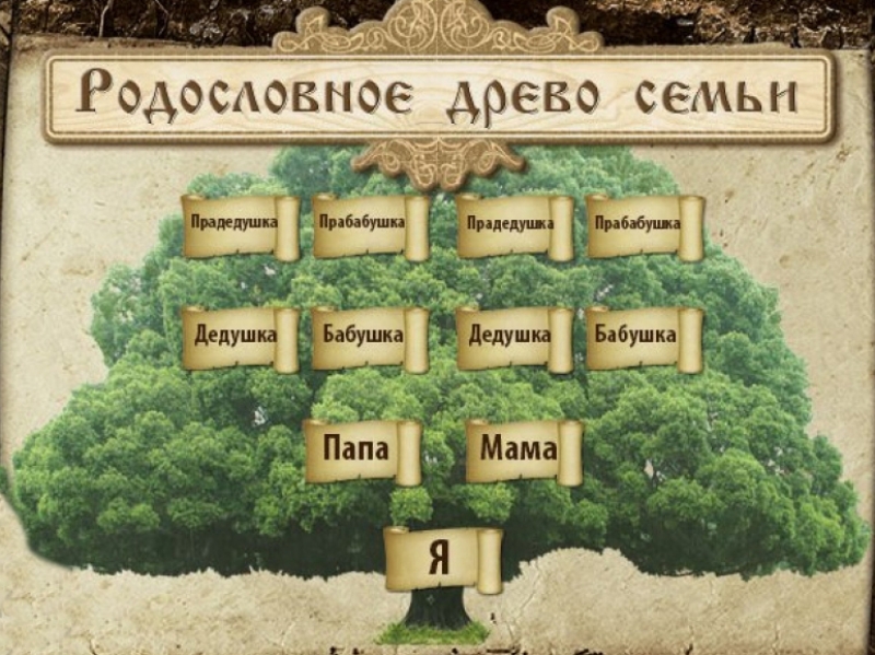Праздник родословных «Не растет без корней крона»