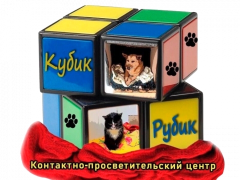 Презентация проекта «Дом Кубика Рубика» в районной библиотеке
