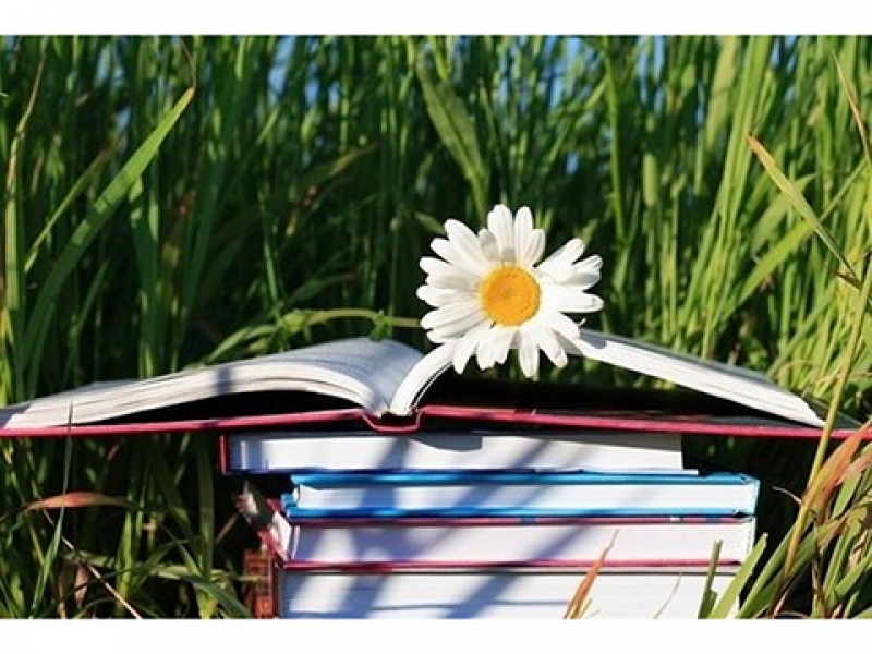 Чтобы летом не скучать – выбирай, что почитать!