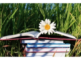 Чтобы летом не скучать – выбирай, что почитать!