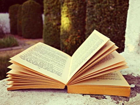 Нижнепыхтинская библиотека объявляет голосование «Лучшая книга о войне»