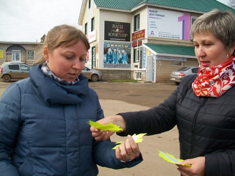 Всероссийская акция «Золотая осень» в Дебесах