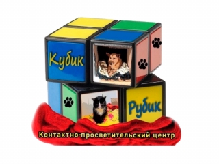 Новая победа в конкурсе Фонда президентских грантов