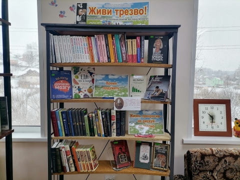 Книжная выставка «Живи трезво!» в Шарканской библиотеке