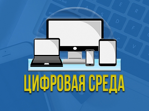 Цифровая среда