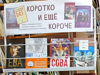 Книжная выставка «Коротко и еще короче»