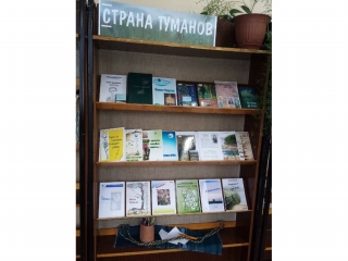 Книжная выставка «Страна Туманов» в Ярской библиотеке