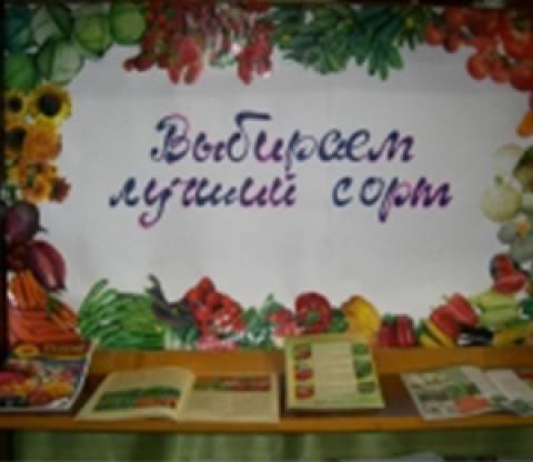 Выставка-продажа «Выбираем лучший сорт» 