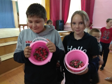 Игровая программа «Карамельная лихорадка»