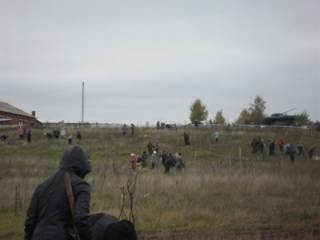 Акция «Посади дерево»